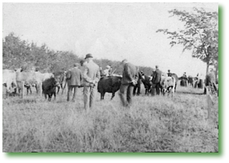 Gransden Show
1897